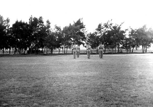 Images/1 LF colour Troop 1951353.jpg